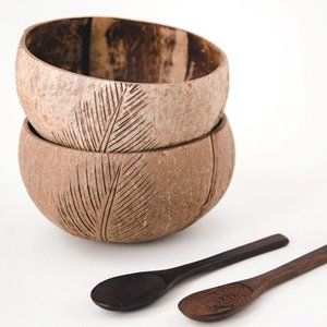 JUMBO Coconut Bowl Set with Spoons x2